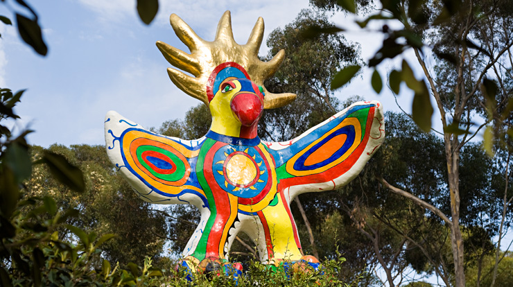 UCSD_Sungod